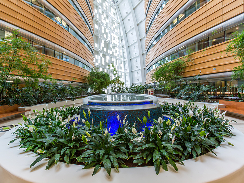 garden2_0_1